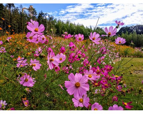 IMG01009_HDR~2