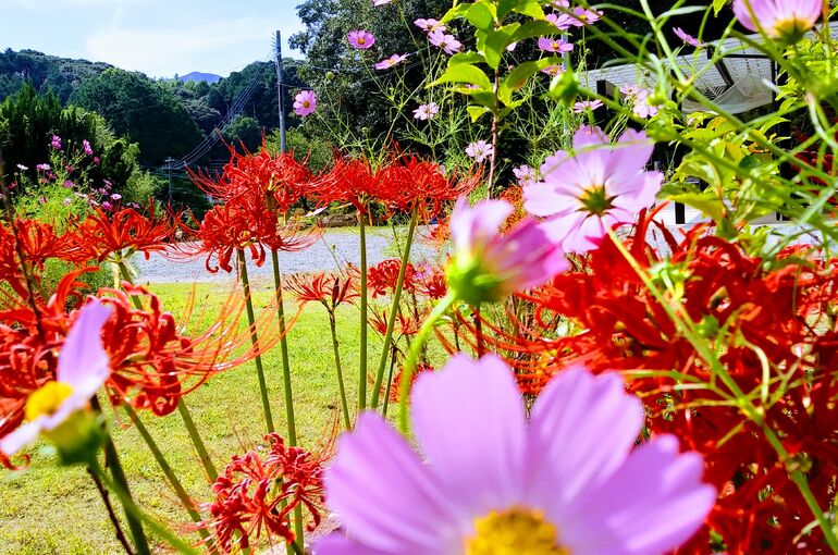 IMG00914_HDR~2