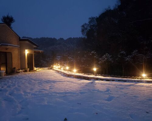 R3.1.9雪