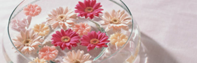 女性が運営しているペット霊園